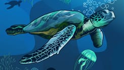 Vector Tracing/Vectorizing